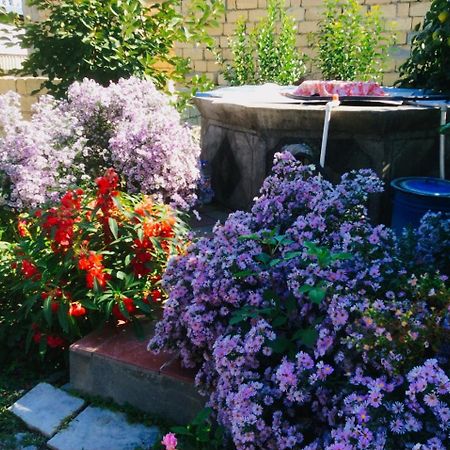 Şǝki House On Ashiq Cuma Street 8 B&B 외부 사진