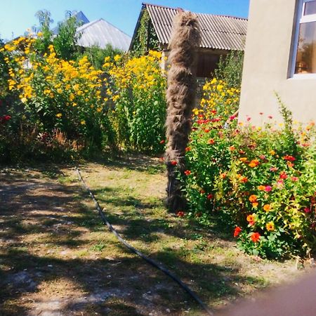 Şǝki House On Ashiq Cuma Street 8 B&B 외부 사진