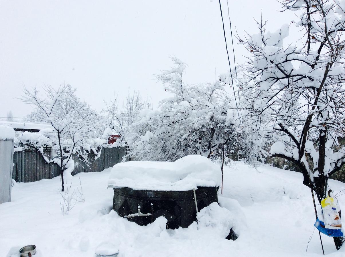 Şǝki House On Ashiq Cuma Street 8 B&B 외부 사진
