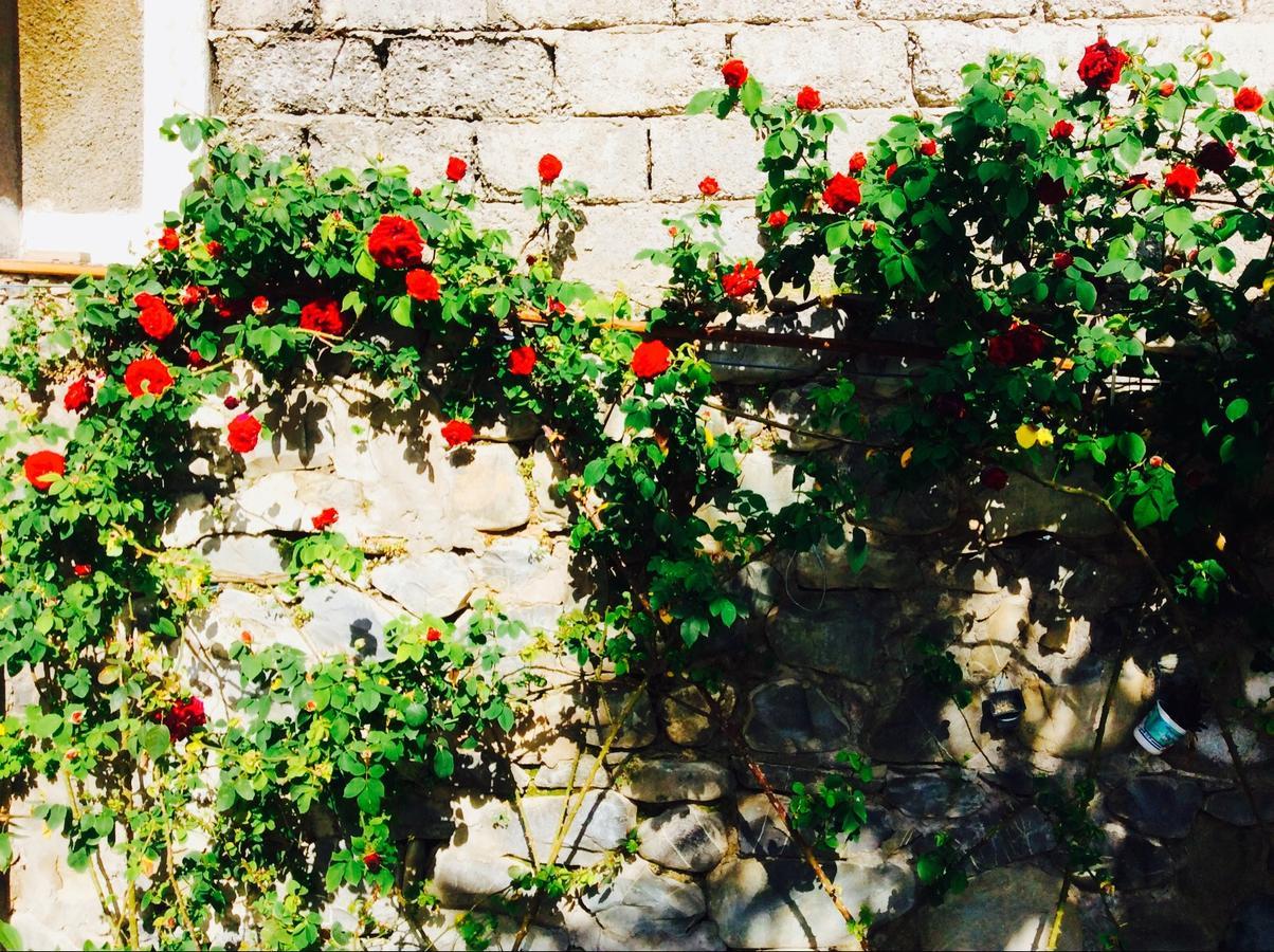 Şǝki House On Ashiq Cuma Street 8 B&B 외부 사진