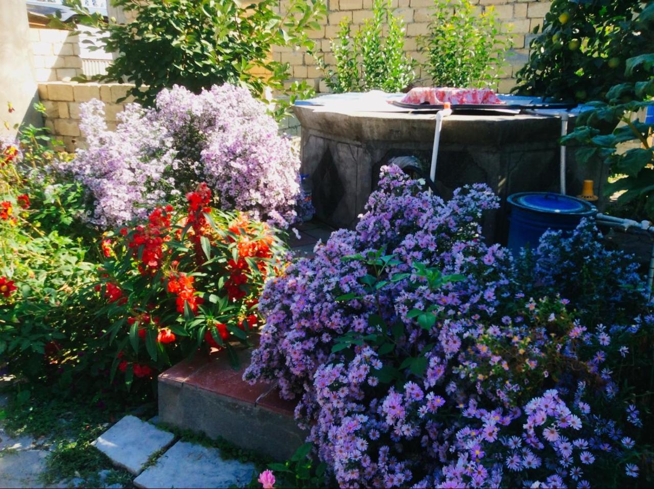 Şǝki House On Ashiq Cuma Street 8 B&B 외부 사진