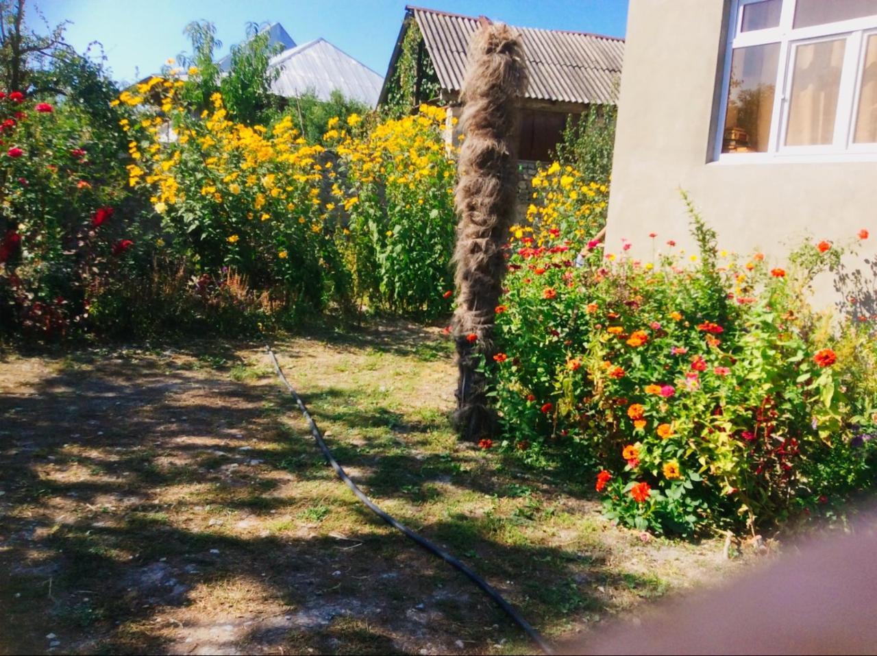 Şǝki House On Ashiq Cuma Street 8 B&B 외부 사진